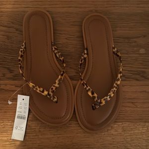 J. Crew Sorrento Thong Sandal in Tortoise